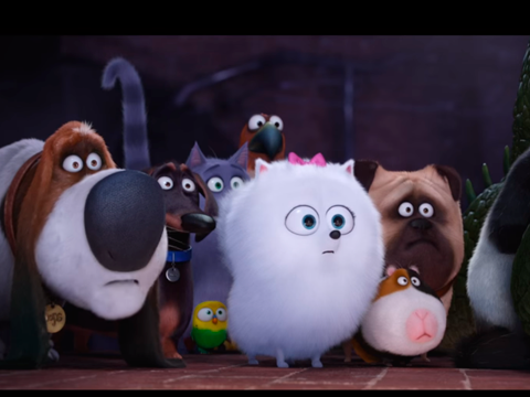 Mascotas en la alfombra roja: el estreno más perruno del verano