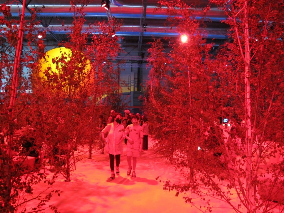 El bosque de ARCO: un guiño a la naturaleza en su edición más esperada