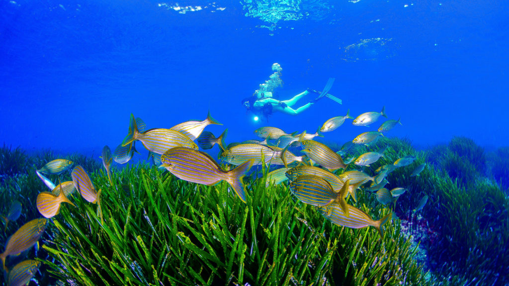 Photo of Región de Murcia 10