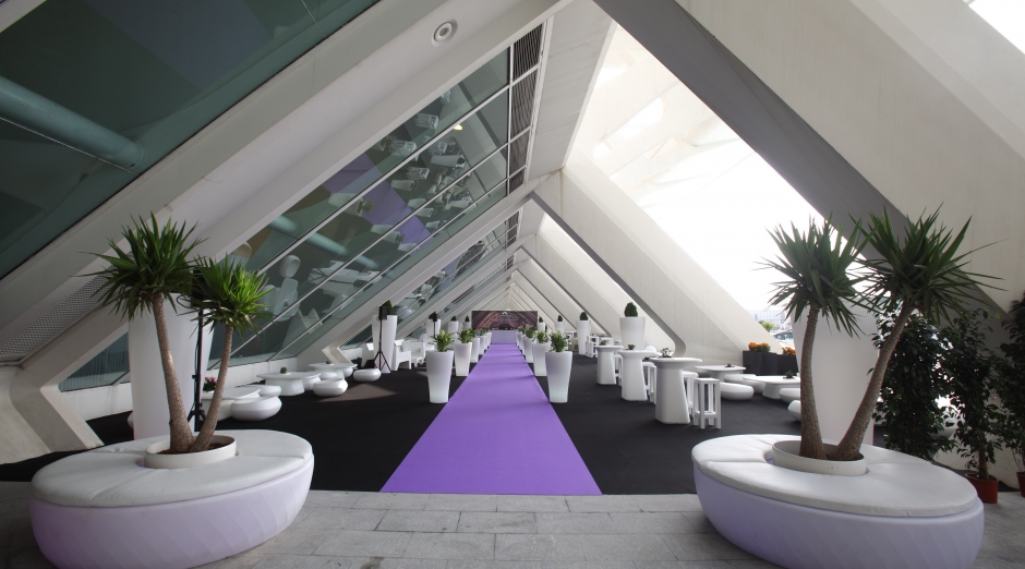 Foto de Ciudad de las Artes y las Ciencias 8
