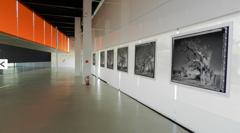 Foto de Auditorio y Palacio de Congresos «El Batel» 11