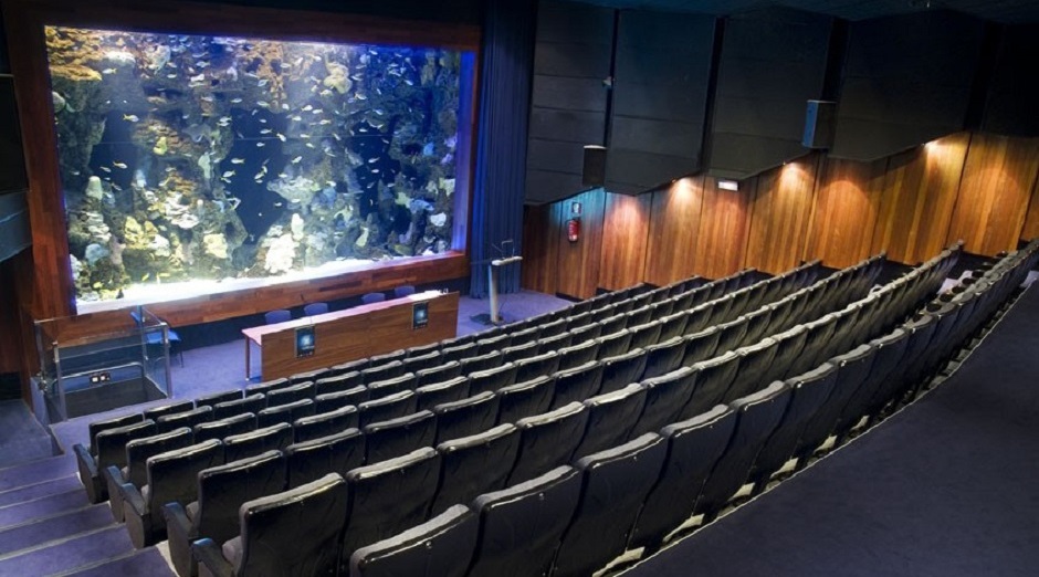 Imagen de AQUARIUM Donostia San Sebastián