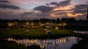 Photo of El Soto de Mónico 4