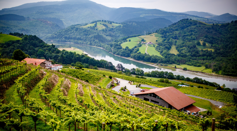 Photo of Bodega Katxiña 2