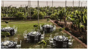 Foto de Liberty International Spain 2