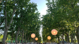 Photo of Singularis Catering 3