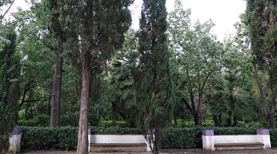 Foto de Fundació Joan Miró 17