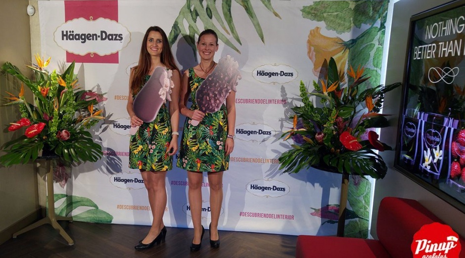 Imagen de Pinup Azafatas