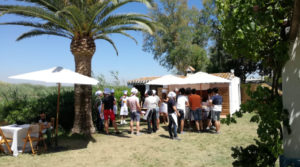 Photo of Transvia Business 4