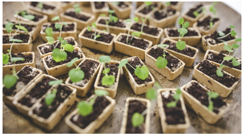 Foto de AGA Catering 5