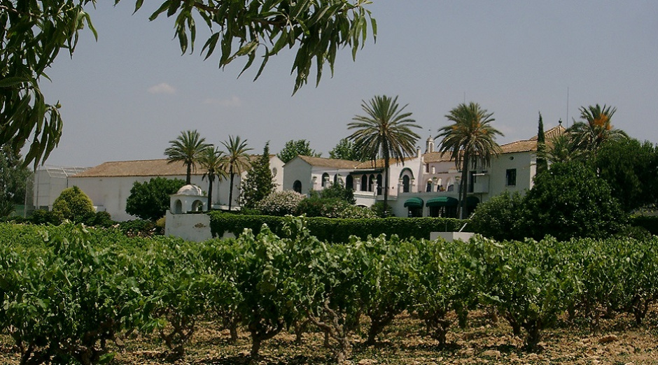 Photo of Finca Viladellops 1