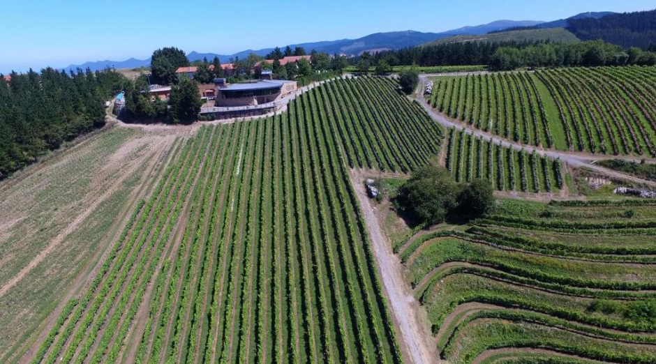 Imagen de Bodega Berroja