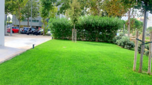 Photo of Bio-Edificio Gonsi Sócrates 3