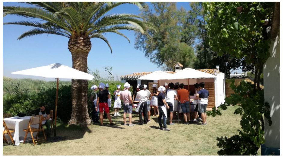 Photo of Transvia Business 6