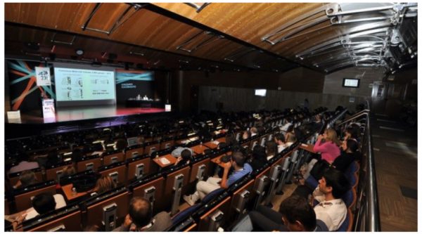 Foto de Transvia Business 3