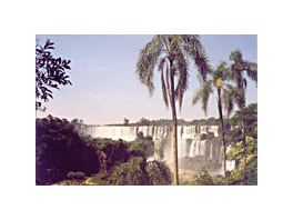 Buen año previsto para el turismo internacional