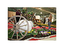 Viveralia recibe 4.000 visitantes profesionales