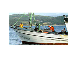 New incentives in A Coruña