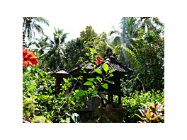 Bali wants to be a key destination for Spanish