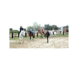 Hípica y tai-chi para fomentar el talento relacional