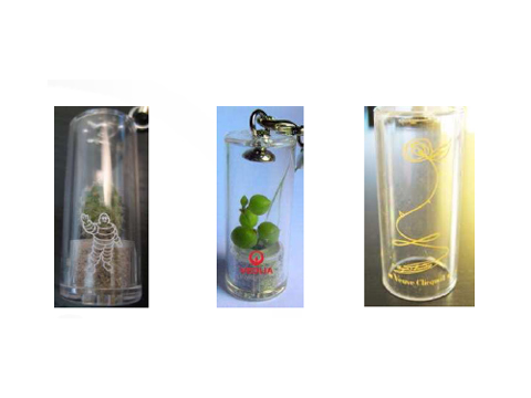 Babytree ofrece ahora sus arbolitos con formas personalizadas