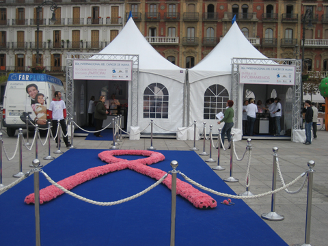 Claveles rosas contra el cáncer de mama