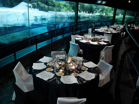 Se presenta en Faunia el Event Pack, producto paquetizado para eventos asequibles