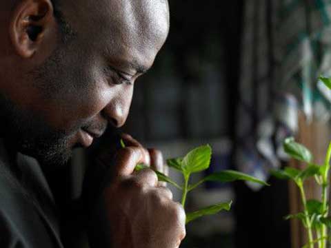 Getty Images lanza un estudio sobre tendencias en comunicación visual