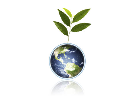 MeetGreen propone unir a los eventos verdes en EE UU