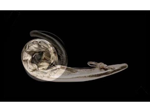 No dejes que los tacones boicoteen tus eventos