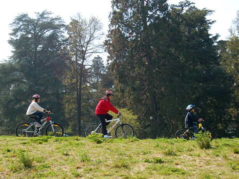 El Gobierno impulsará el turismo sostenible (¡y los congresos!)