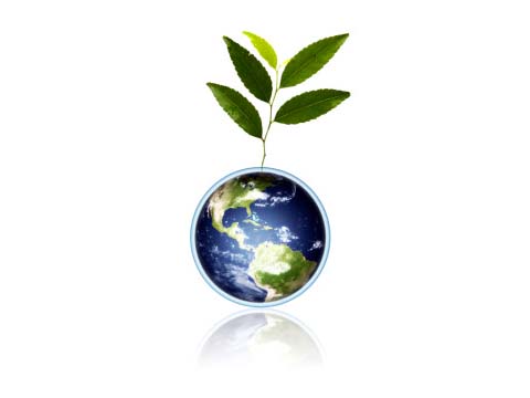 Una buena para los hoteles ecológicos