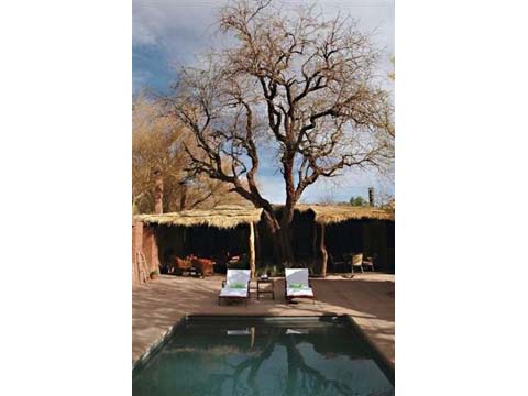 Un hotel verde en el desierto de Atacama