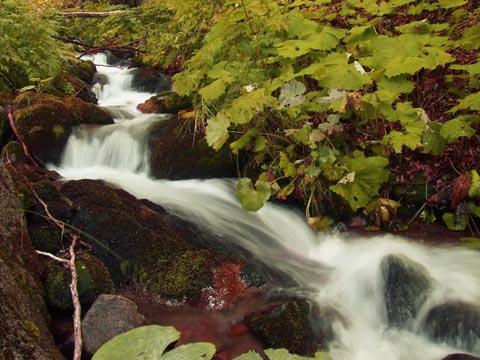 Nace el I Encuentro Iberoamericano de Turismo Sostenible