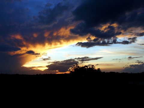 El 2010 apunta a una recuperación según Bizbash