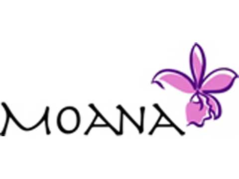 Moana Tour Operador, nueva agencia de viajes de incentivo de lujo