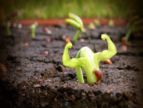 El mercado mejorará en 2010 según un estudio de Ultramar Event Management