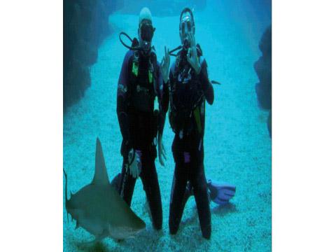 Un chapuzón con tiburones después de un congreso