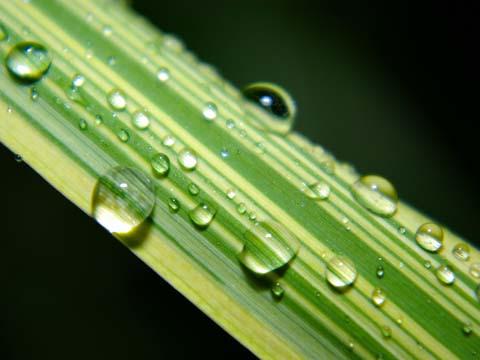 Verdúdigital ofrece nuevo sistema de impresión ecológico