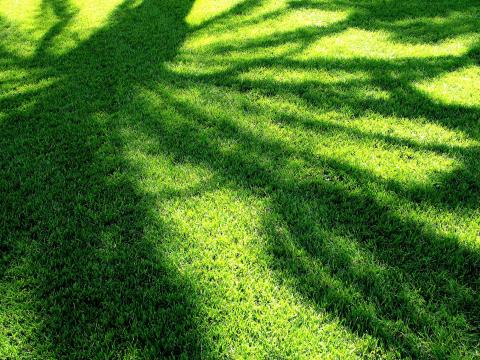 MPI and other associations advance key standard for green meetings