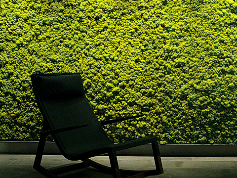 Is there anything that has not been invented in event decoration?