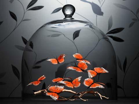 Nace Club eventoplus