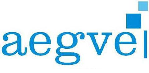 La AEGVE analiza el valor del travel manager