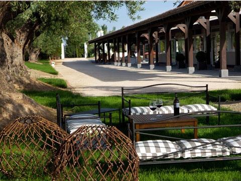 Bodegas y Viñedos Casa del Valle, nuevo espacio para eventos