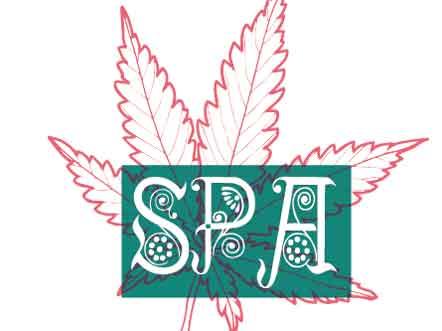 El cannabis, la nueva estrella del wellness