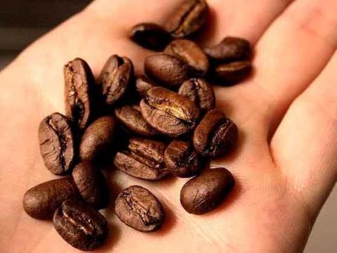 Los aromas personalizados, al alza en eventos