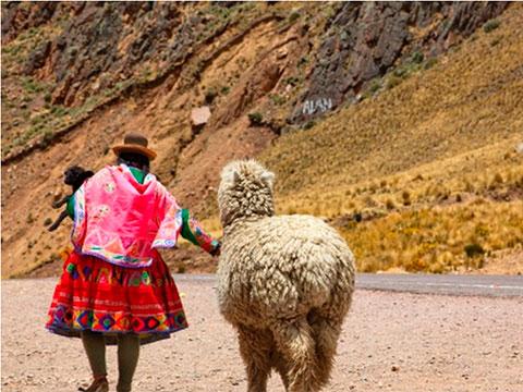 3 actividades muy andinas para un incentivo en Perú