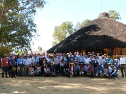 Mallorca, escenario del