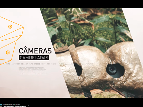 Miles de ojos vigilan la selva brasileña gracias a Jeep