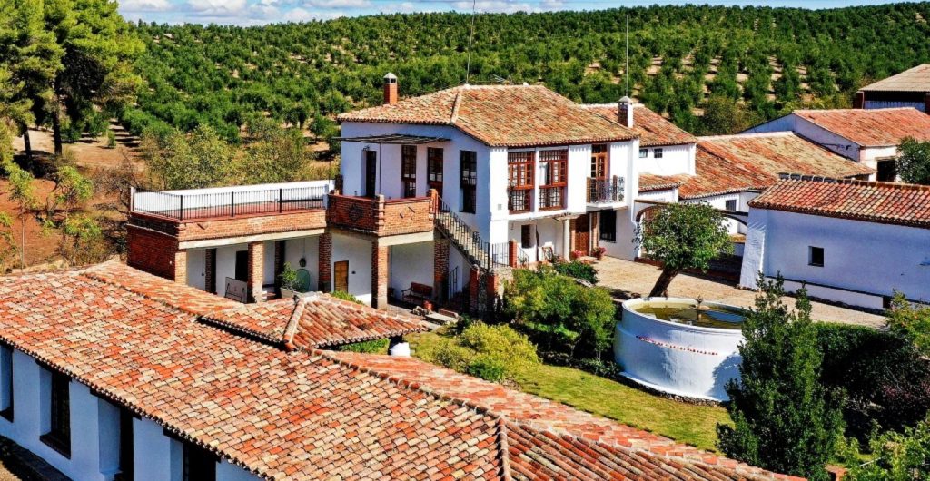 Meetings y eventos entre olivares y naturaleza